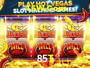 85t.com